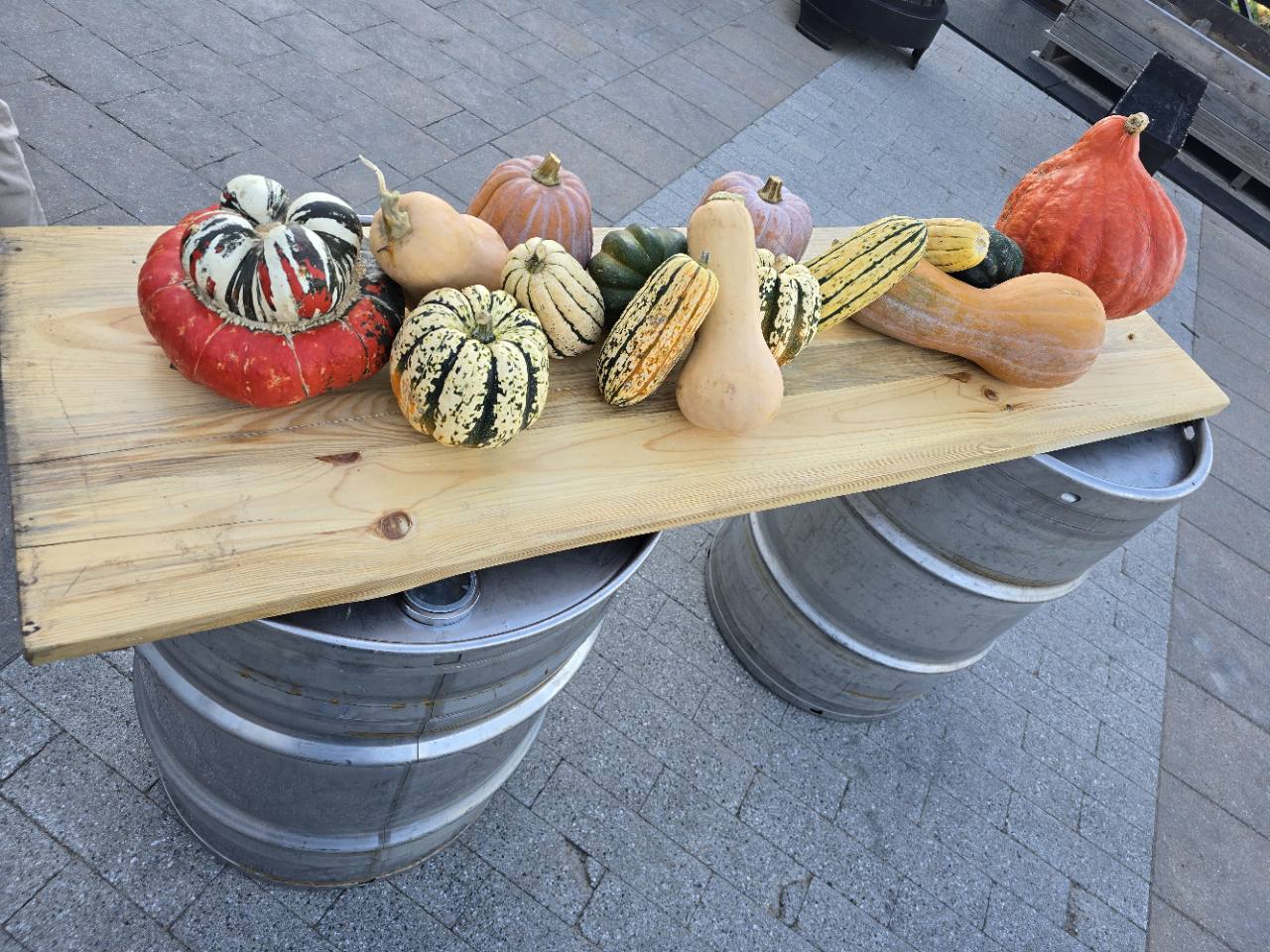 Colourful fall squash and gourds displayed on a wooden table